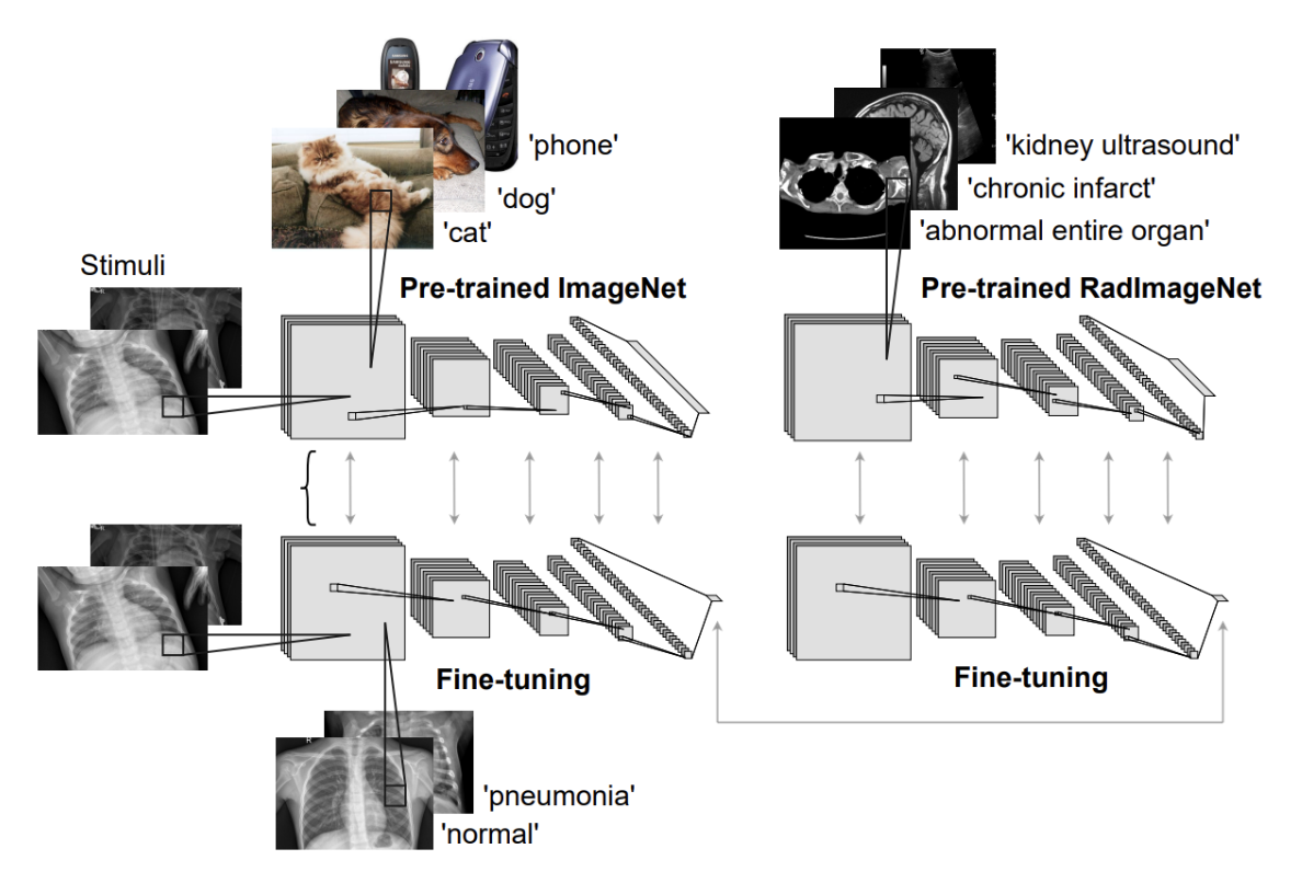 TransferLearning